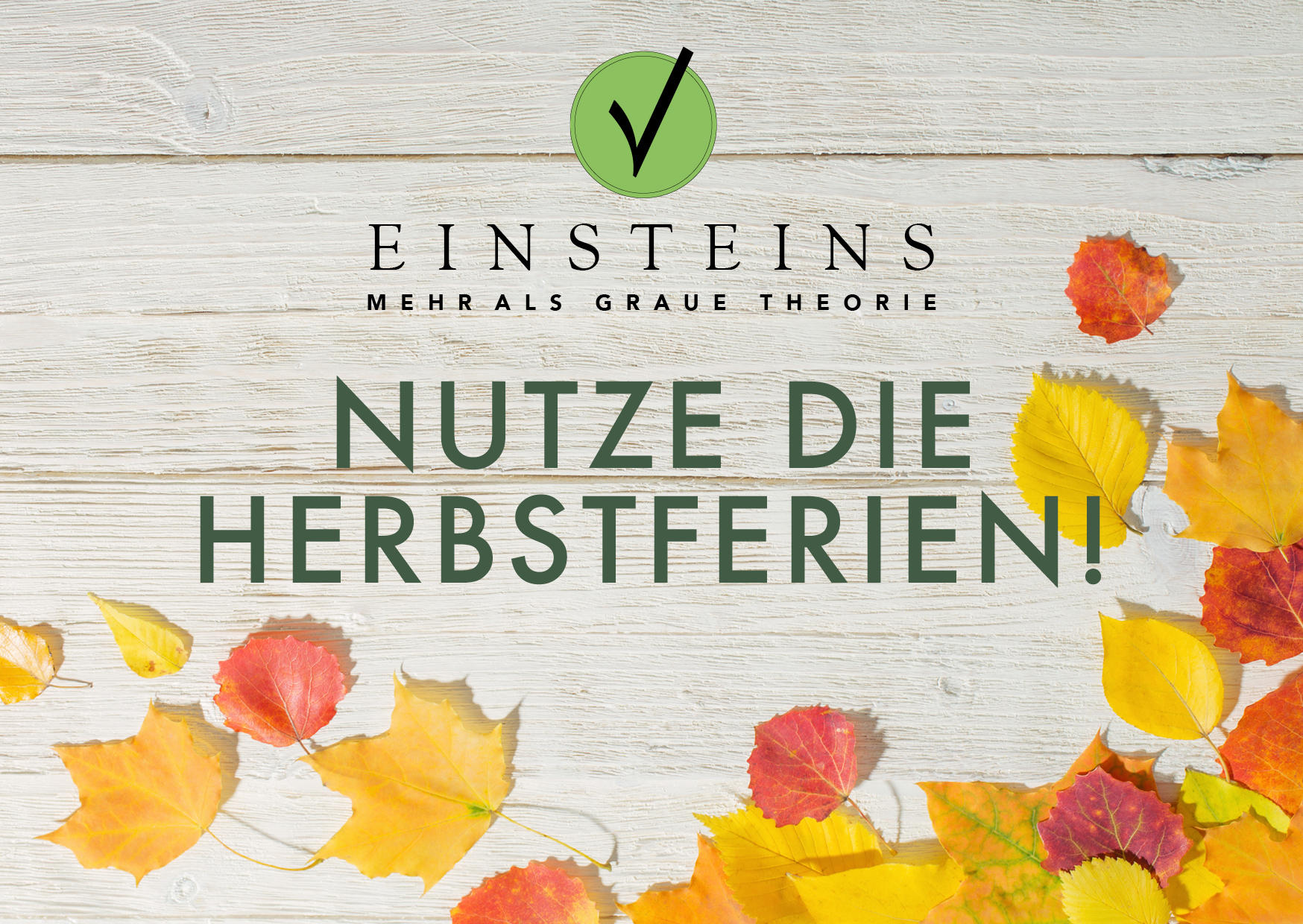 Einsteins Herbstferienkurse